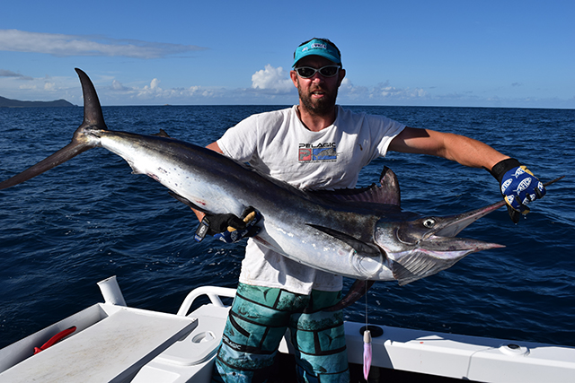 ANGLER: Matt Pearson SPECIES: Black Marlin WEIGHT: Est. 28kg LURE: 6.5" JB Lures Micro Dingo.